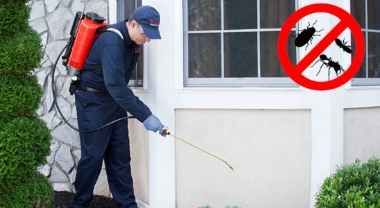 Mudurnu Bit İlaçlama böcek ilaçlama ve haşere kontrolü — ilaclama-tr.com